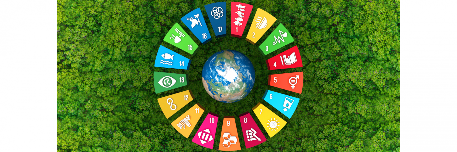 Partenariats stratégiques