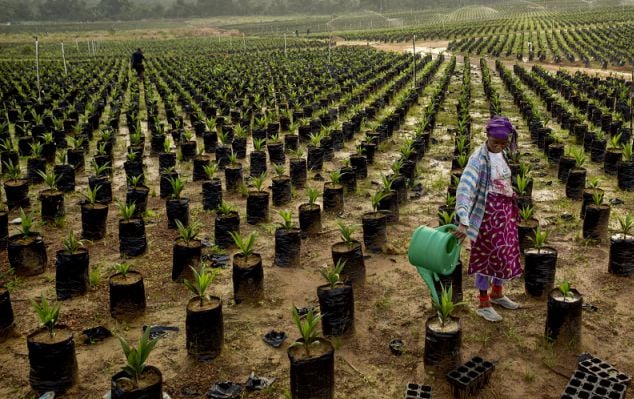 Développement en Afrique
